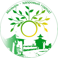 Профилактический проект "Мозырь - здоровый город"